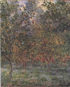 Sotto gli alberi di limone da Claude Monet